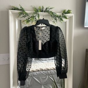 Meshki Black Ruffled Bustier Crop Blouse